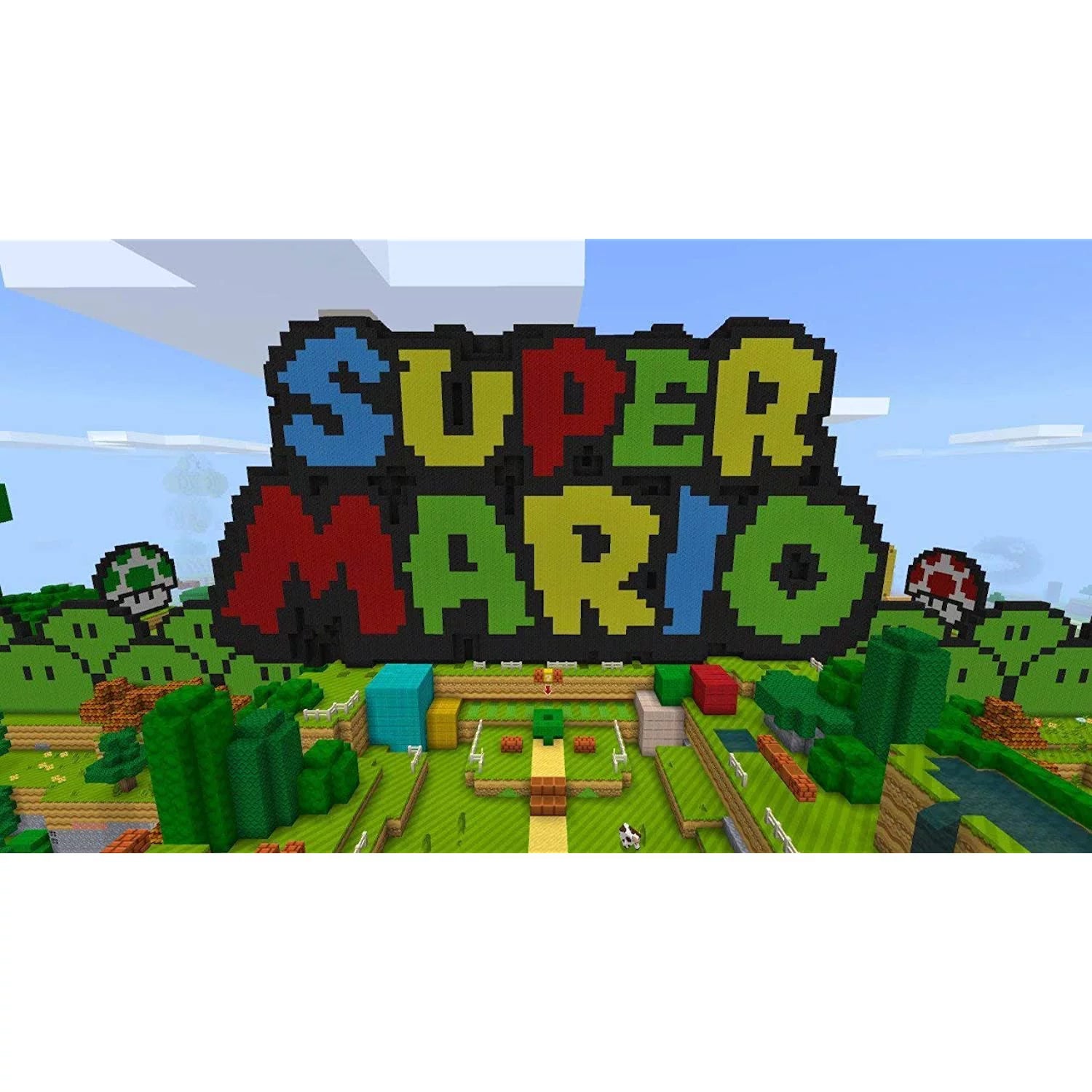 Minecraft with Super Mario Mash-up - Nintendo Switch F895022