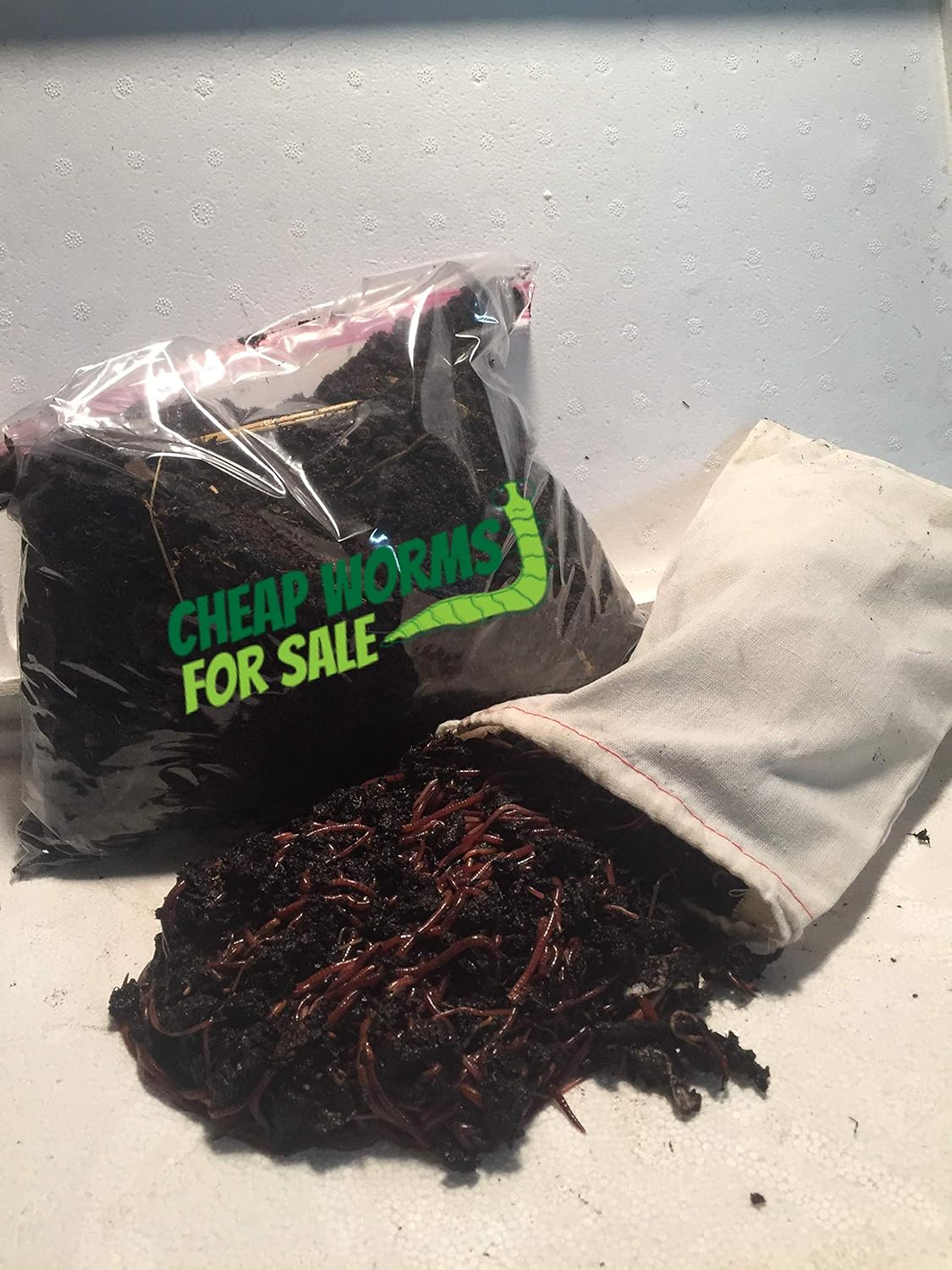 100 Red Compost Worms with Free Worm Food by:CheapWormsForSale