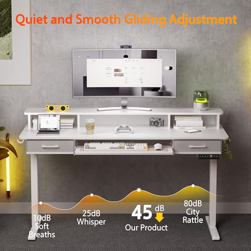 Electric Standing Desk with 2 Drawers, Height Adjustable for Home Office B137