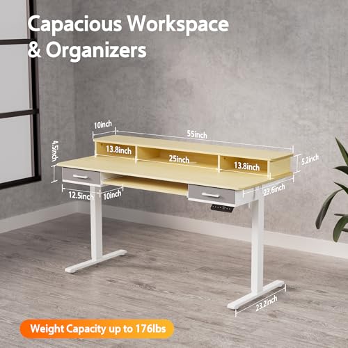 Electric Standing Desk with 2 Drawers, Height Adjustable for Home Office B137