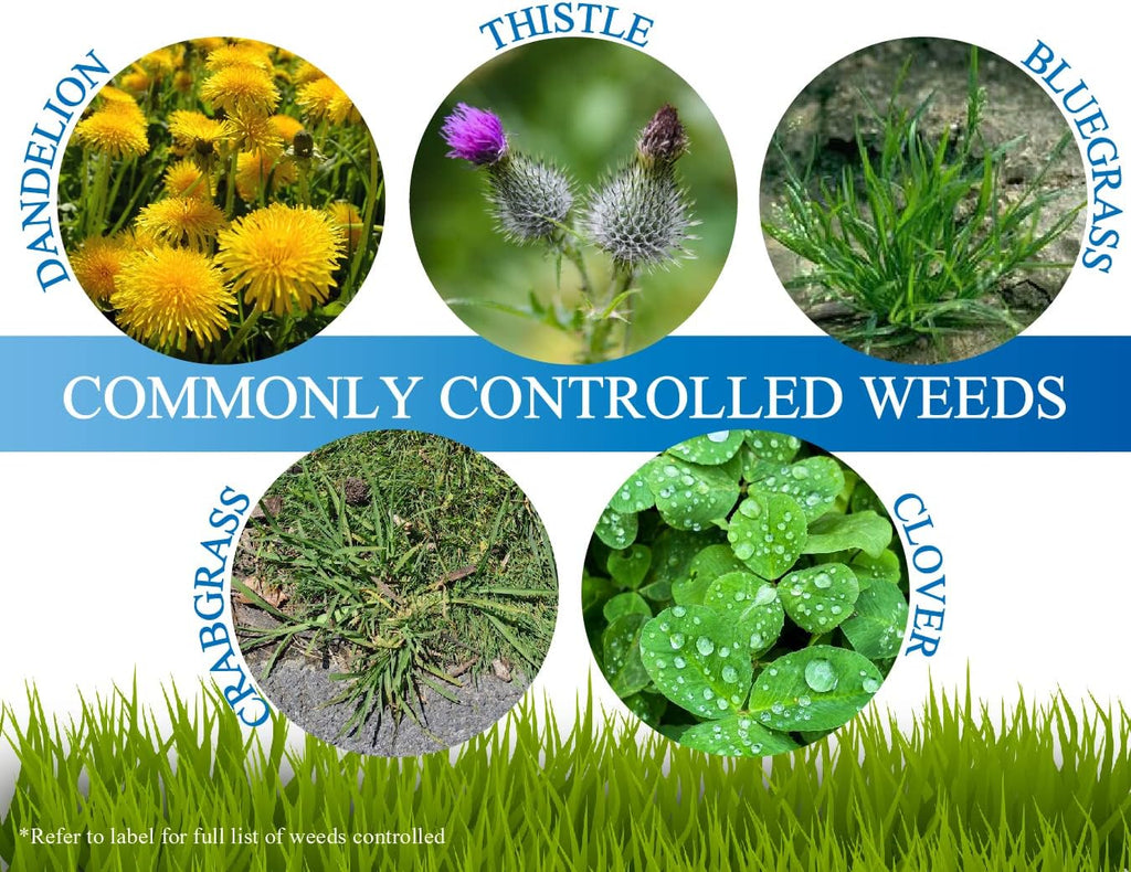 Turf Herbicide I2705