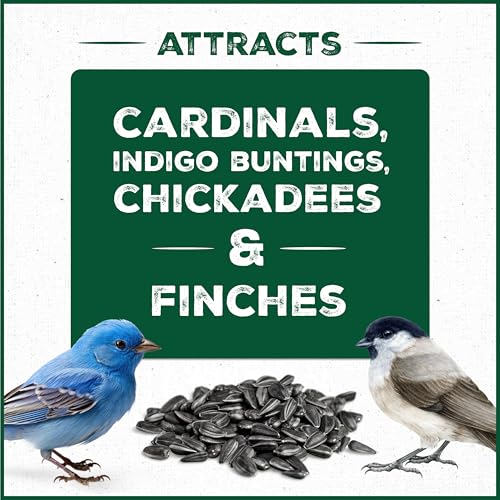 Wild Bird Seed for Outside Feeders, High-Protein, No-Waste, 15-lb Bag F570741