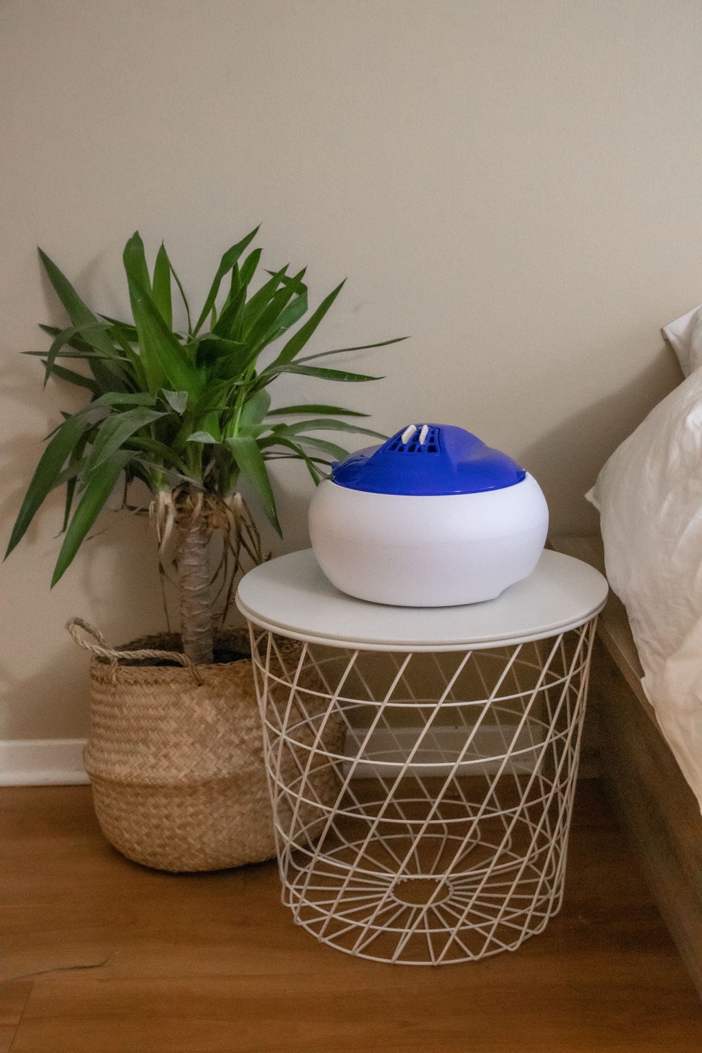 Warm Steam Vaporizer - Blue R471224