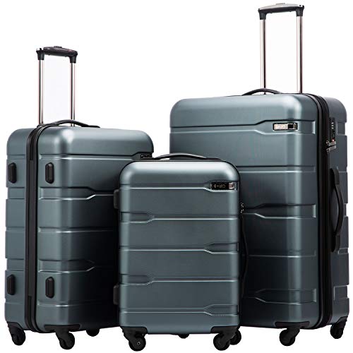 PC+ABS Spinner Suitcase with TSA Lock, 20in Carry-On Q530