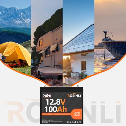 12V 100Ah Group 24 LiFePO4 Battery with 100A BMS, Deep Cycle for RV, Marine, Solar L361