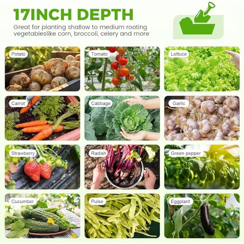 Galvanized Raised Garden Bed Kit, Oval Metal Planter Box for Vegetables E707229