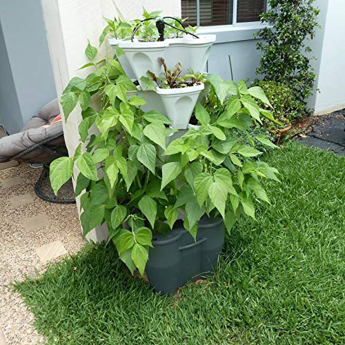 Automatic Self Watering Vertical Tower Garden System for Indoor or Outdoor Use T6424