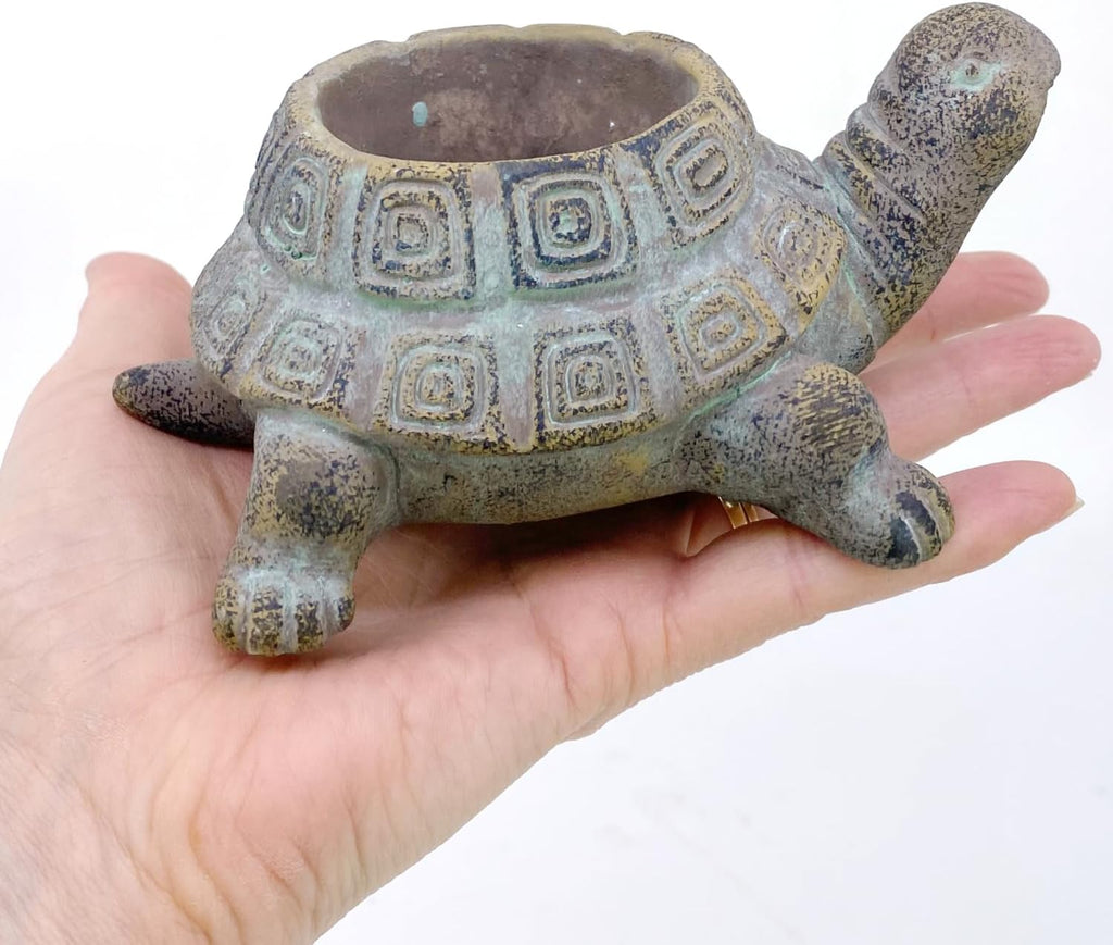 Small Cement Turtle Planter for Succulents D152