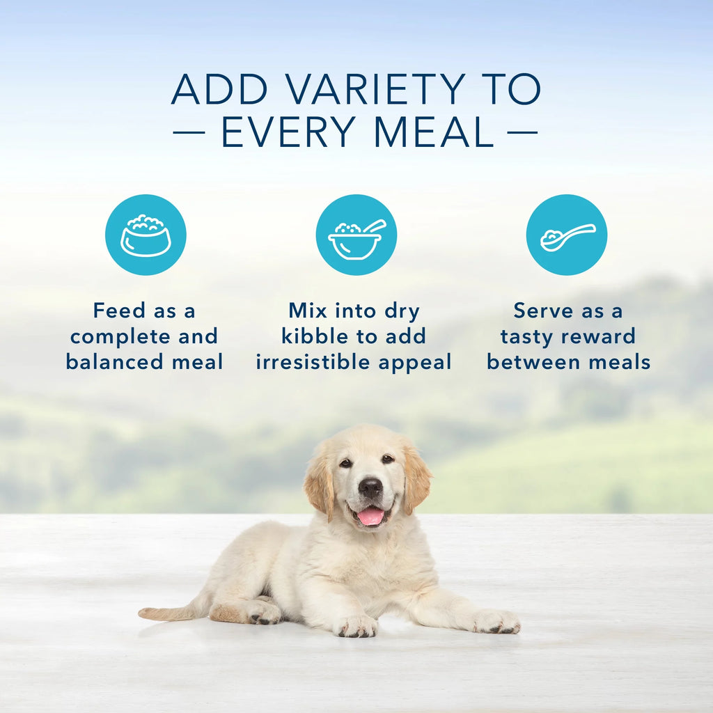 Puppy Wet Dog Food, Chicken, 12.5 oz Can (Pack of 12) S2958