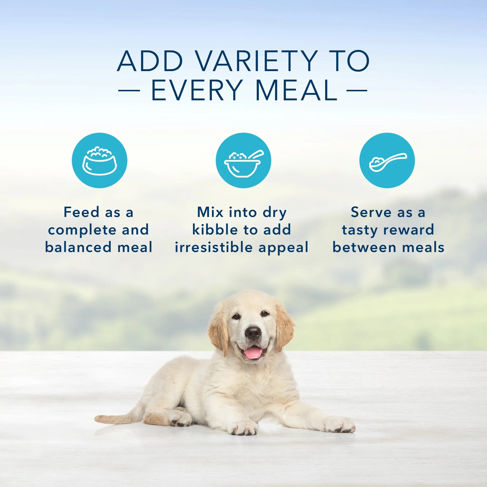Puppy Wet Dog Food, Chicken, 12.5 oz Can (Pack of 12) S2958