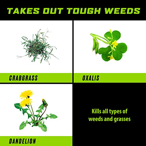 Weed and Grass Killer Concentrate for Landscape Beds, Patios, 32 oz I259