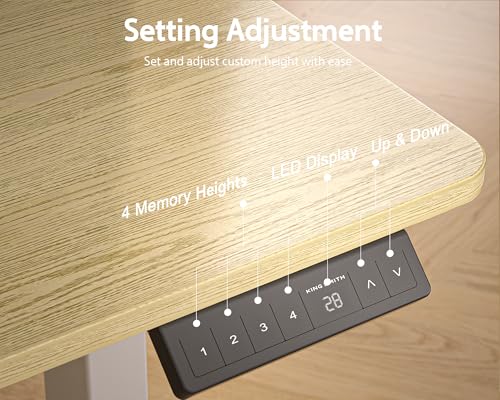 Electric Standing Desk with 2 Drawers, Height Adjustable for Home Office B137