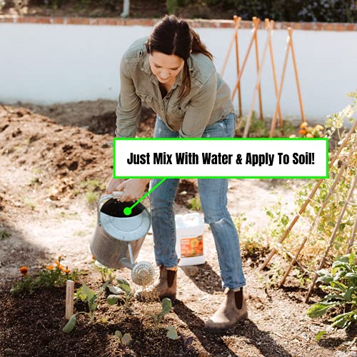 Organic Liquid Fertilizer for Fruits and Flowers T2345