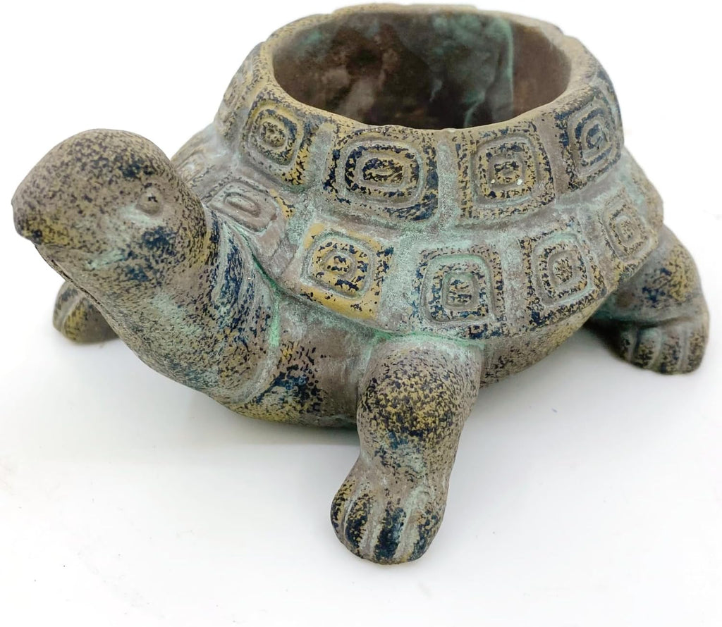 Small Cement Turtle Planter for Succulents D152