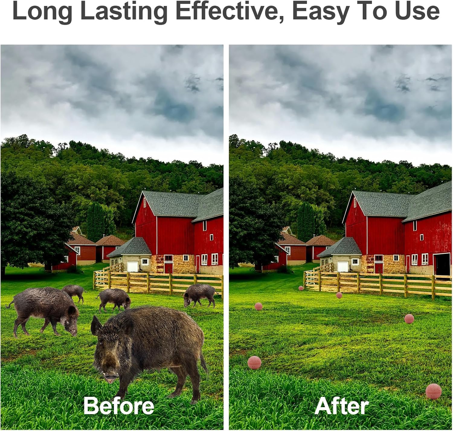 Wild Hog Repellent for Farm, Garden and Yard P79142