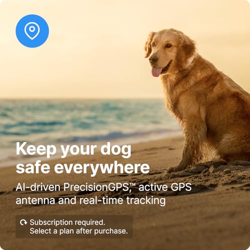 GPS Wireless Dog Fence & Training Collar with Tracker, Waterproof, Small W880