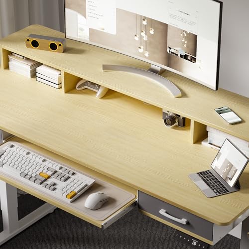 Electric Standing Desk with 2 Drawers, Height Adjustable for Home Office B137