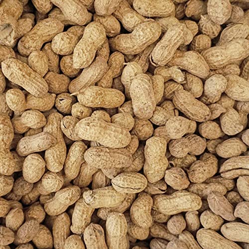 25 lb Virginia in Shell Animal Peanuts for Wildlife Z6783