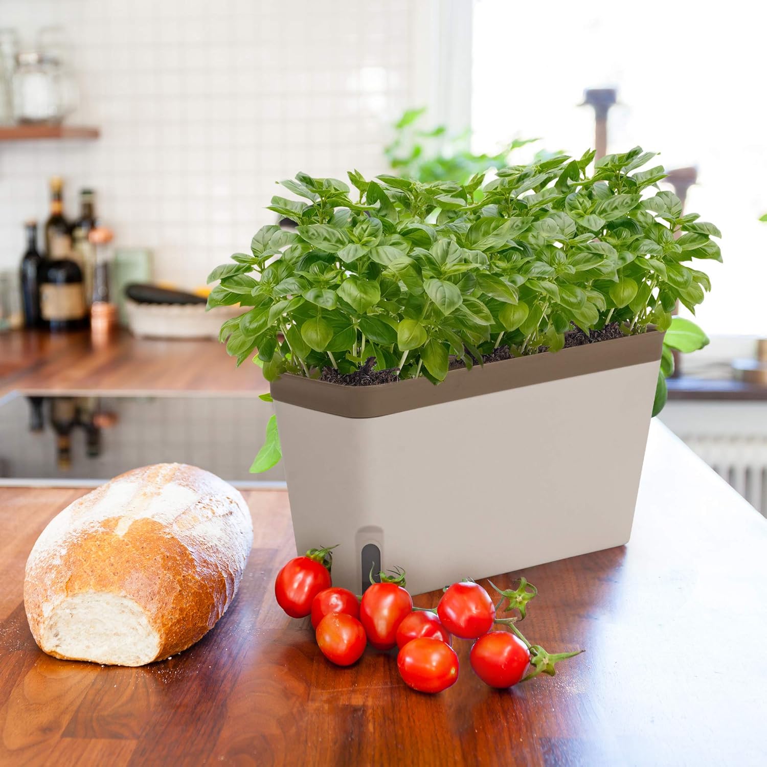 Window Herb Planter Box, Self-Watering, Set of 3 V9641