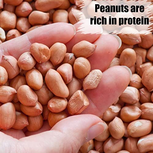 Wildlife Shelled Peanuts, 10 lbs for Birds and Squirrels Y354