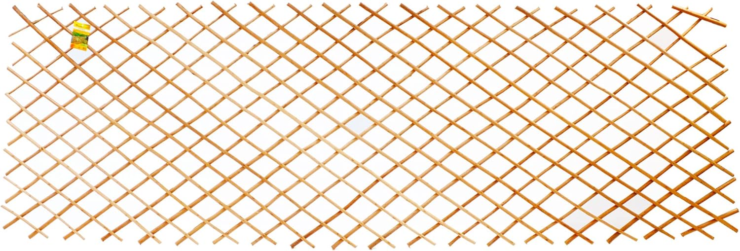 Expandable Willow Wood Trellis for Climbing Plants J4649