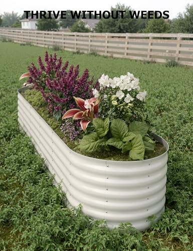 Galvanized Raised Garden Bed for Vegetables, Flowers, Outdoor D165