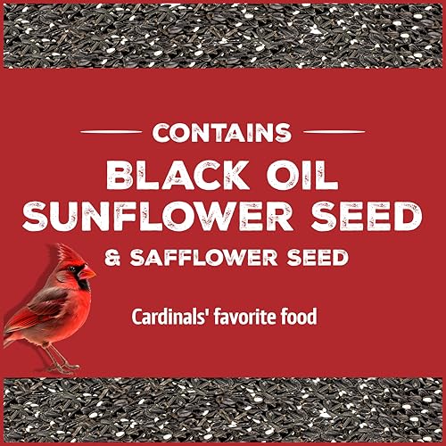 Wild Bird Seed for Outside Feeders, High-Protein, No-Waste, 15-lb Bag F570741
