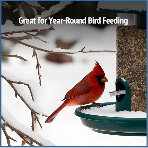 Wild Bird Seed for Outside Feeders, High-Protein, No-Waste, 15-lb Bag F570741