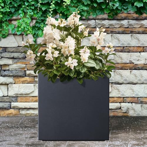 10 Inch Square Concrete Planter with Drainage Hole for Indoor Outdoor Patio Garden C483611