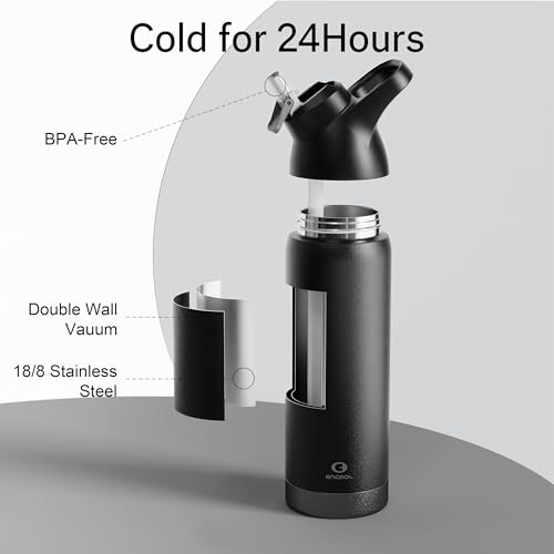 Insulated Stainless Steel Water Bottle with Straw, 24 oz X205853