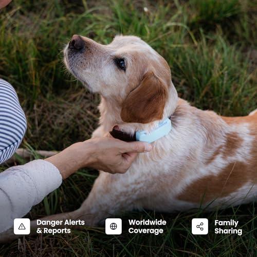 GPS Dog Tracker with Virtual Fence and Vital Signs Monitoring M60164