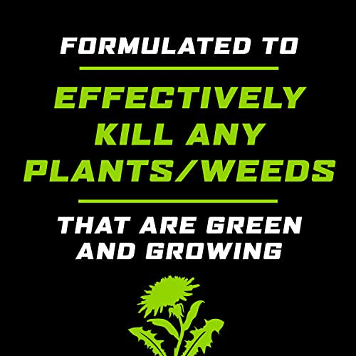 Weed and Grass Killer Concentrate for Landscape Beds, Patios, 32 oz I259