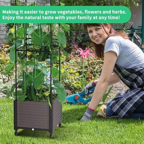 Raised Garden Bed with Trellis & Wheels for Climbing Plants W553049