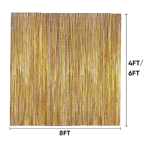 Natural Bamboo Fence Roll 6ft x 8ft Privacy Screen for Garden H625124