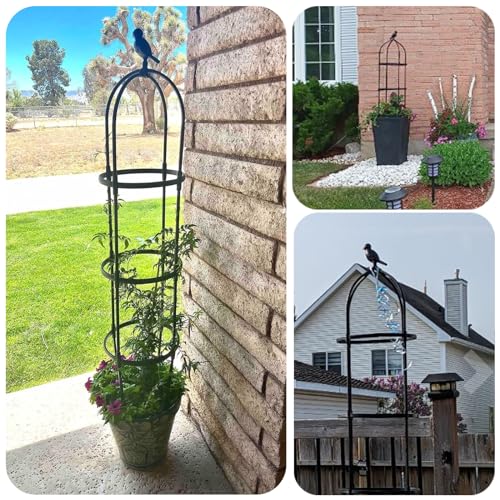 Round Trellis for Climbing Plants, Rustproof, 6ft M817
