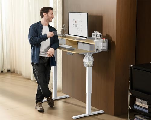 Electric Standing Desk with 2 Drawers, Height Adjustable for Home Office B137