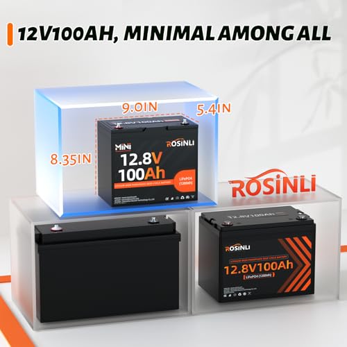 12V 100Ah Group 24 LiFePO4 Battery with 100A BMS, Deep Cycle for RV, Marine, Solar L361