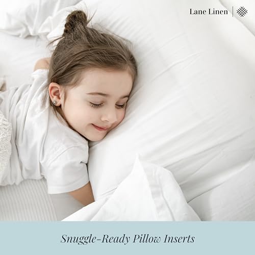 Bed Pillows King Size Set of 2 - Soft Gusseted Pillow for Sleepers - Down Alternative - White N2389
