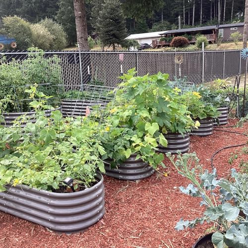 Galvanized Raised Garden Bed Oval Metal Planter Box for Vegetables Flowers A9593