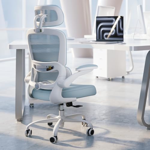Ergonomic Mesh Office Chair with Wheels, High Back, 330 LBS Capacity C667113