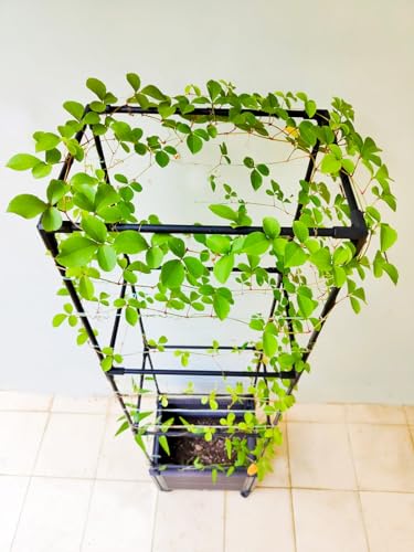 Large Outdoor Garden Planter Box with Trellis and Wheels, 2 Pack L6949
