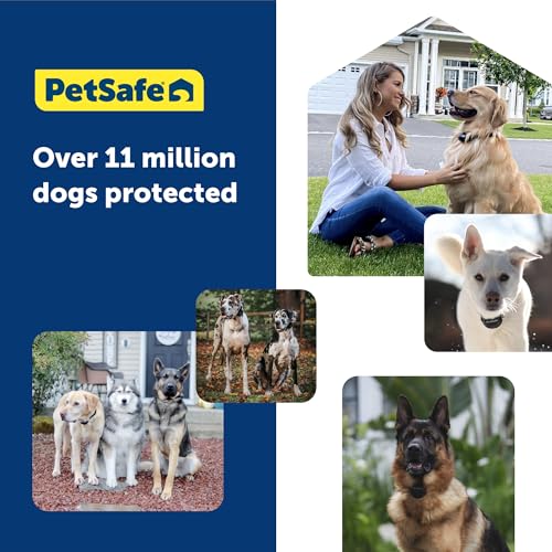 GPS Dog Fence Collar with App Tracking, Waterproof Rechargeable O461899