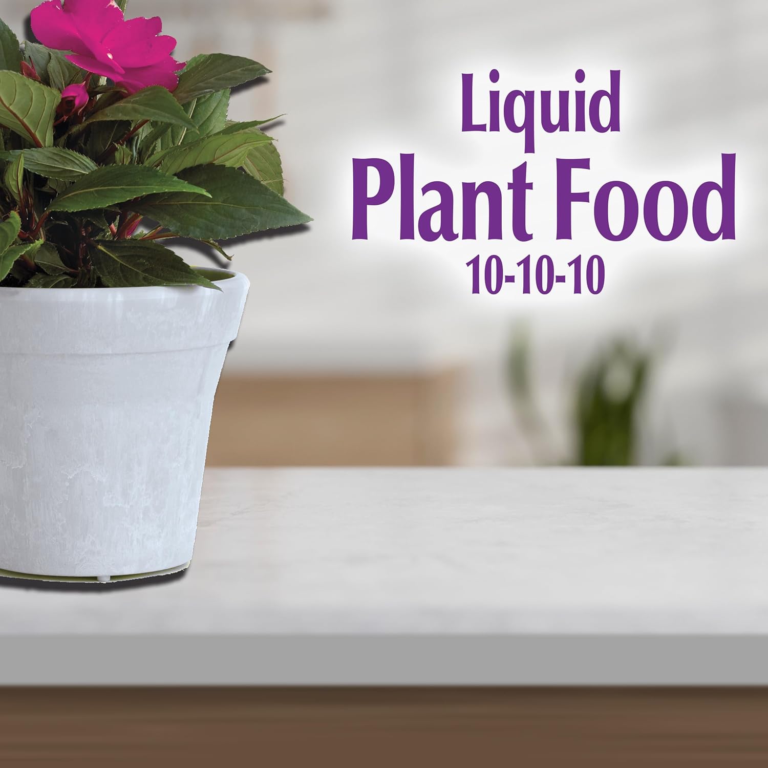 Houseplant Liquid Plant Food 10-10-10, 8 oz Concentrated Fertilizer F737289