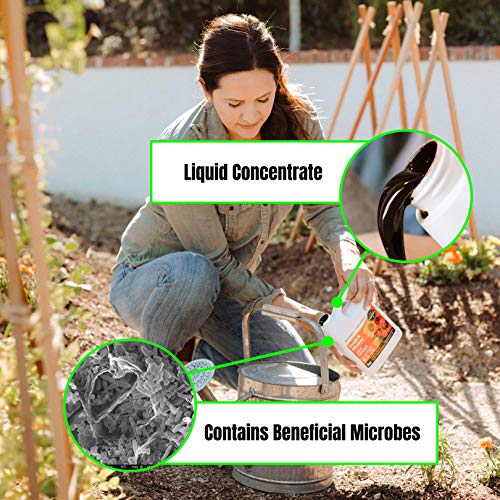 Organic Liquid Fertilizer for Fruits and Flowers T2345