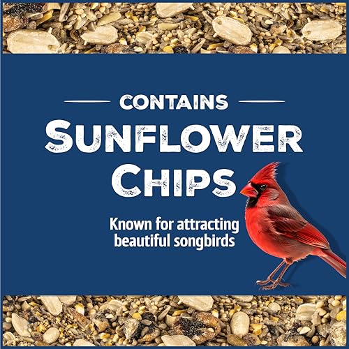 Wild Bird Seed for Outside Feeders, High-Protein, No-Waste, 15-lb Bag F570741