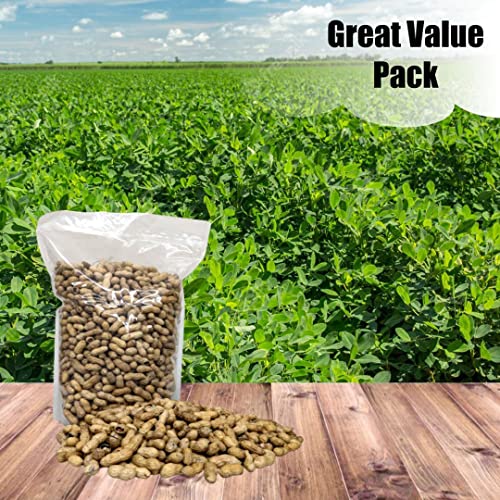Wildlife Shelled Peanuts, 10 lbs for Birds and Squirrels Y354