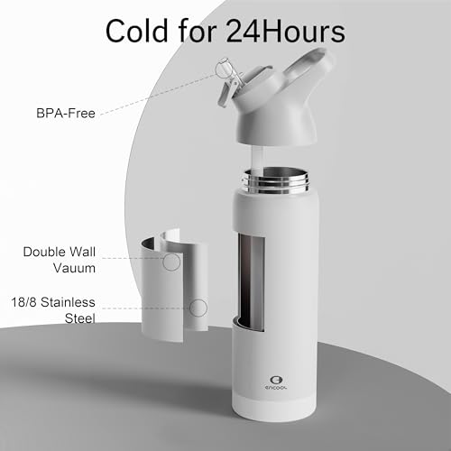 Insulated Stainless Steel Water Bottle with Straw, 24 oz X205853