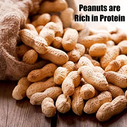 Wildlife Shelled Peanuts, 10 lbs for Birds and Squirrels Y354