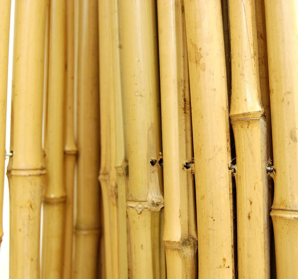 Natural Bamboo Fencing Decorative Rolled Fence Panel P8561