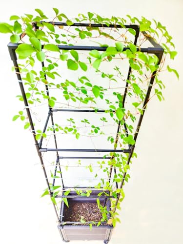 Large Outdoor Garden Planter Box with Trellis and Wheels, 2 Pack L6949